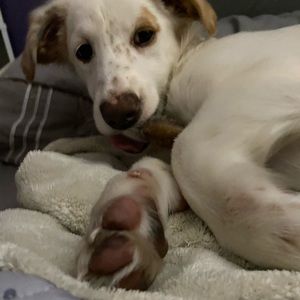 Meet your Posher, Keith